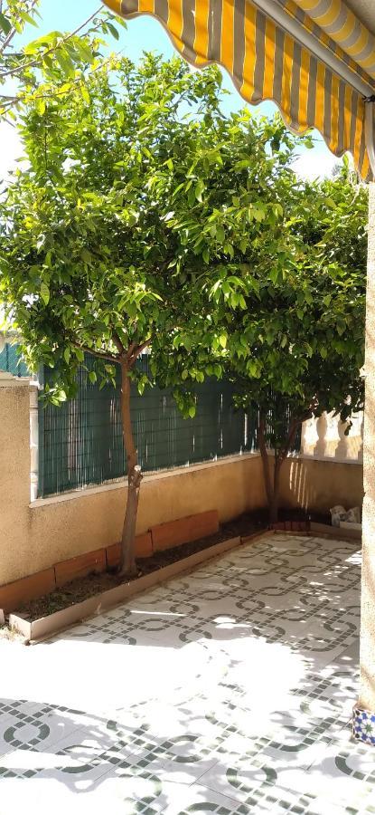 Apartement A La Mata Torrevieja Eksteriør billede