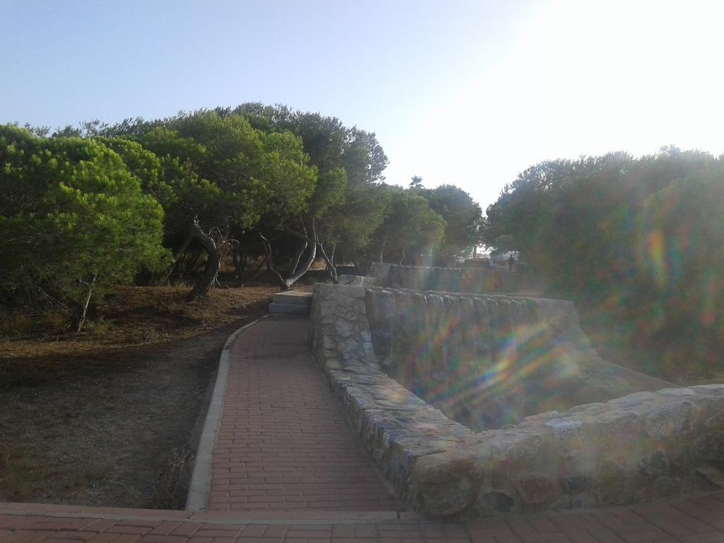 Apartement A La Mata Torrevieja Eksteriør billede